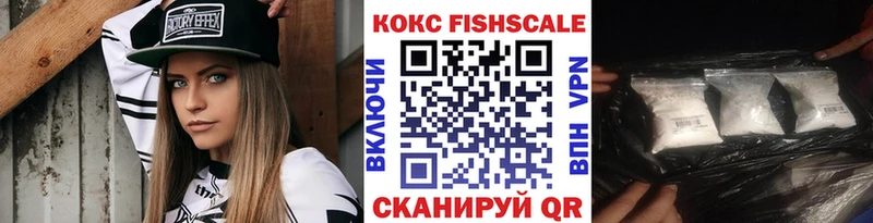 Купить закладки Томилино Кокаин Fish Scale